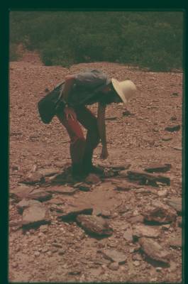[Yves Winandy em meio a paisagem sertaneja] (2)