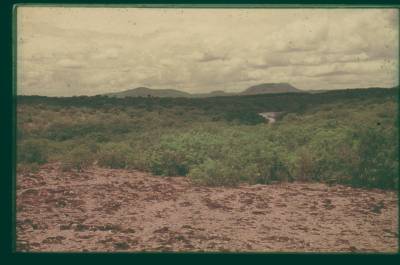 [Paisagem agreste] (2)