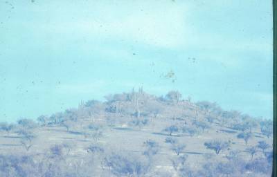 [Monte]