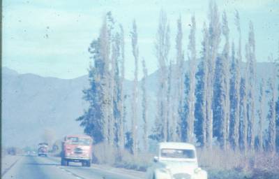 [Carros na estrada e árvores]
