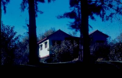 [Casa entre árvores]