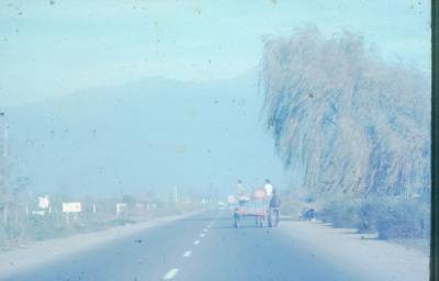 [Estrada com carroça]